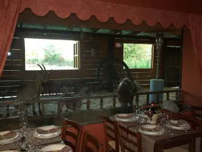 Tenuta del Vecchio Mulino - Restaurant
