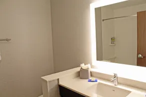 Holiday Inn Express & Suites - St. Louis South - I-55 by IHG - Salle de bain