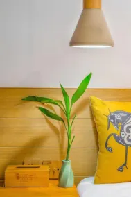 Han Xuan Boutique Hostel - Værelse