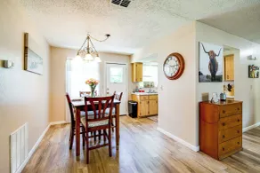 Explore Weeki Wachee Springs: Pet-friendly Home - Intérieur