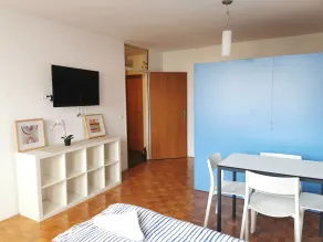 Dunajska Apartment - Zimmer