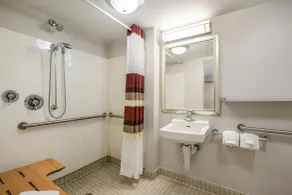 Red Roof Inn Lansing West - MSU - Bathroom