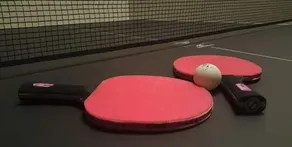 Villa Loggia - Billard