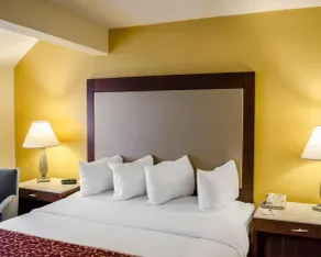 SureStay Studio by Best Western Pensacola - Chambre