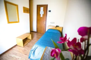 Hotel Agli Olmi - Room
