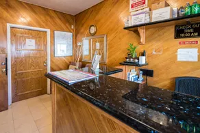 European Hostel - Réception