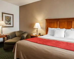 Comfort Inn & Suites Davenport - Quad Cities - Chambre