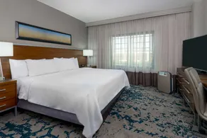 Embassy Suites by Hilton Dallas DFW Airport North - Chambre