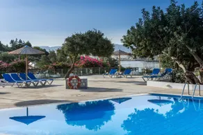 Vasia Ormos Hotel (Adults Only) - Piscine