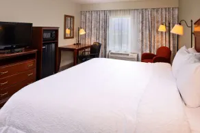 Hampton Inn by Hilton Litchfield - Camera