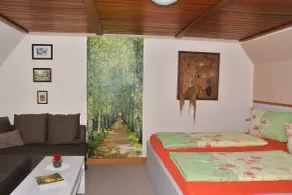 Pension Willischza - Room