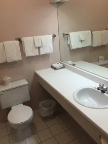 Hôtel Motel Le Gite - Salle de bain