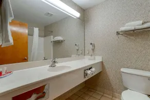 Econo Lodge Inn & Suites Flowood - Jackson Northwest - Salle de bain