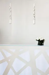 White 1921 - Reception