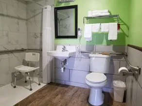 Econo Lodge Cadillac by Choice - Salle de bain