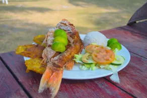 Palmarito Beach Hotel - Restaurante