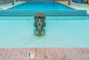 Days Inn by Wyndham Black Bear - Piscine
