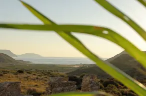 Cortijo Boutique Siete Calas - Utsikt från rummet
