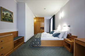 Hotel Izvir - Sava Hotels & Resorts - Værelse