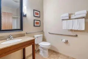 Comfort Suites McKinney-Allen - Chambre