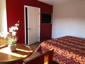 The Fly Inn - Room