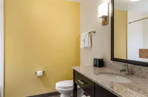 Sleep Inn & Suites Great Falls Airport - Bathroom