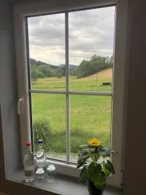Landgasthof Wetteraperle - View from room