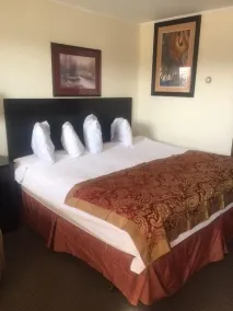 Park Motel - Chambre