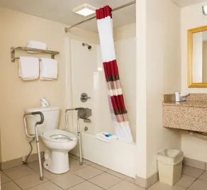 Red Roof Inn & Suites Pigeon Forge Parkway - Salle de bain