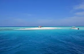 Veli Vilaa Dhiffushi - Beachfront - Pool