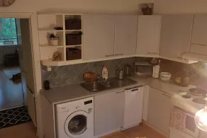 1-Bedroom Apartment with Sauna - Private kitchen