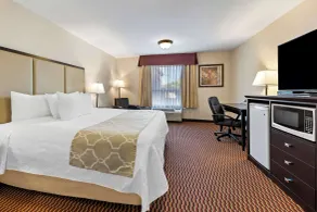 Best Western of Olds - Room