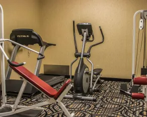 Comfort Inn Birch Run - Frankenmuth - Fitnesscenter