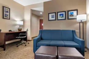 Comfort Suites Pell City near Logan Martin Lake - Chambre