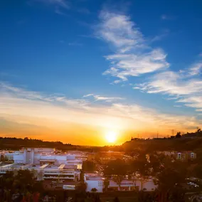 DoubleTree by Hilton Hotel San Diego - Mission Valley - Vue de la chambre