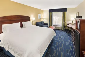 Hampton Inn Hinesville - Chambre