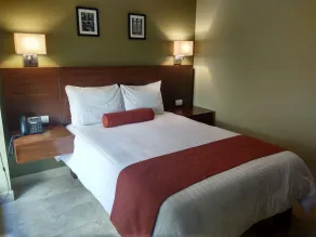 Hotel Posada del Virrey - Chambre