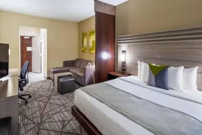 Comfort Inn & Suites Houston I-45 North - IAH - Chambre