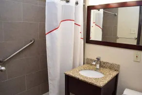 Red Roof Inn Batavia - Banheiro