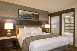 DoubleTree by Hilton Washington DC - Crystal City - Chambre