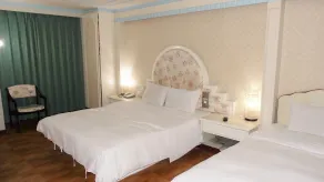Modern Plaza Hotel - Room