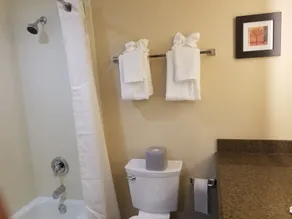 Holiday Inn Poughkeepsie by IHG - Salle de bain