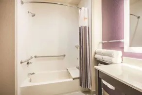 La Quinta by Wyndham Dallas Plano - The Colony - Salle de bain