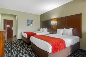 Comfort Suites Danville - Chambre
