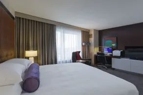 Hyatt Regency McCormick Place Chicago    - Chambre