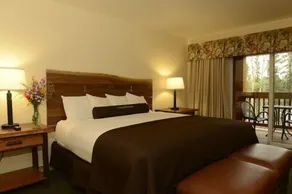 Denali Park Village - Chambre
