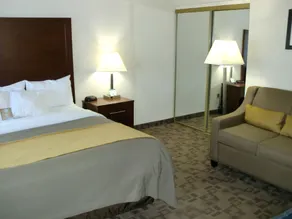 Comfort Inn Birch Run - Frankenmuth - Chambre