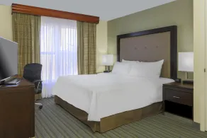 Homewood Suites by Hilton St. Petersburg Clearwater - Chambre
