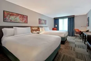 Hilton Garden Inn Houston/Galleria Area - Room