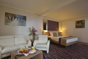 Plaza Hotel Capitole Toulouse - Chambre